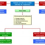 Figura 1. Algoritmo di trattamento della terapia marziale nel paziente con CKD non in dialisi