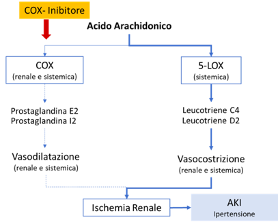 Inibizione di COX da FANS e meccanismo di AKI 