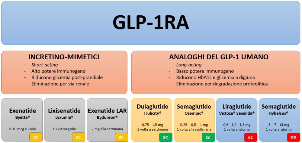 Fig 1. GLP 1RA in base a caratteristiche farmacocinetiche(1)