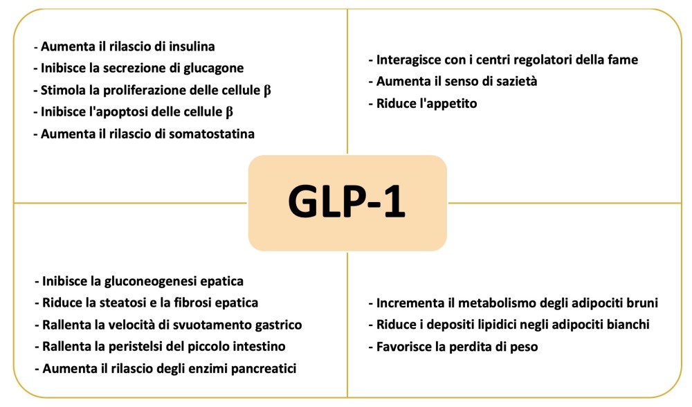 Tabella I: Azioni fisiologiche del GLP-1