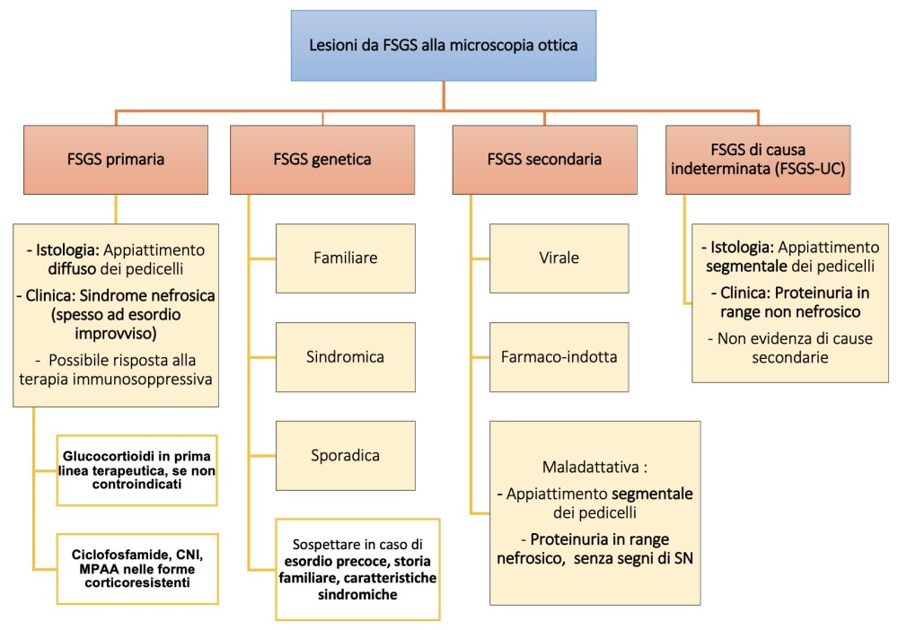 Classificazione eziopatogenetica delle lesioni da FSGS proposta dal KDIGO Work Group