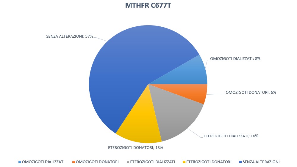Grafico 2: Mutazioni del gene MTHFR.