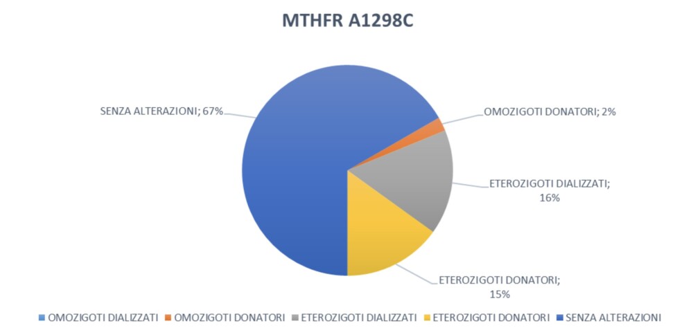 Grafico 2: Mutazioni del gene MTHFR.