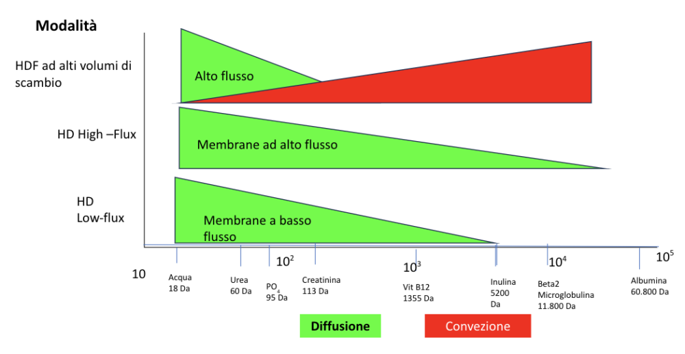 Figura 1. Rimozione di molecole a diverso peso molecolare a seconda della tecnica dialitica ( membrana) e della entità del flusso convettivo.