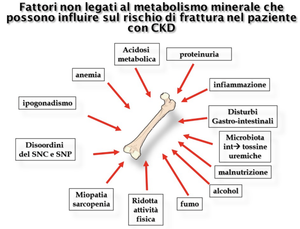 Fattori non direttamente legati al metabolismo minerale che possono influire sul rischio di frattura nel paziente con CKD