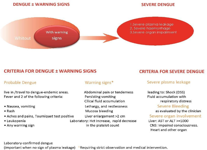 Inspired by WHO 2009: Suggested dengue case classification and levels of severity 