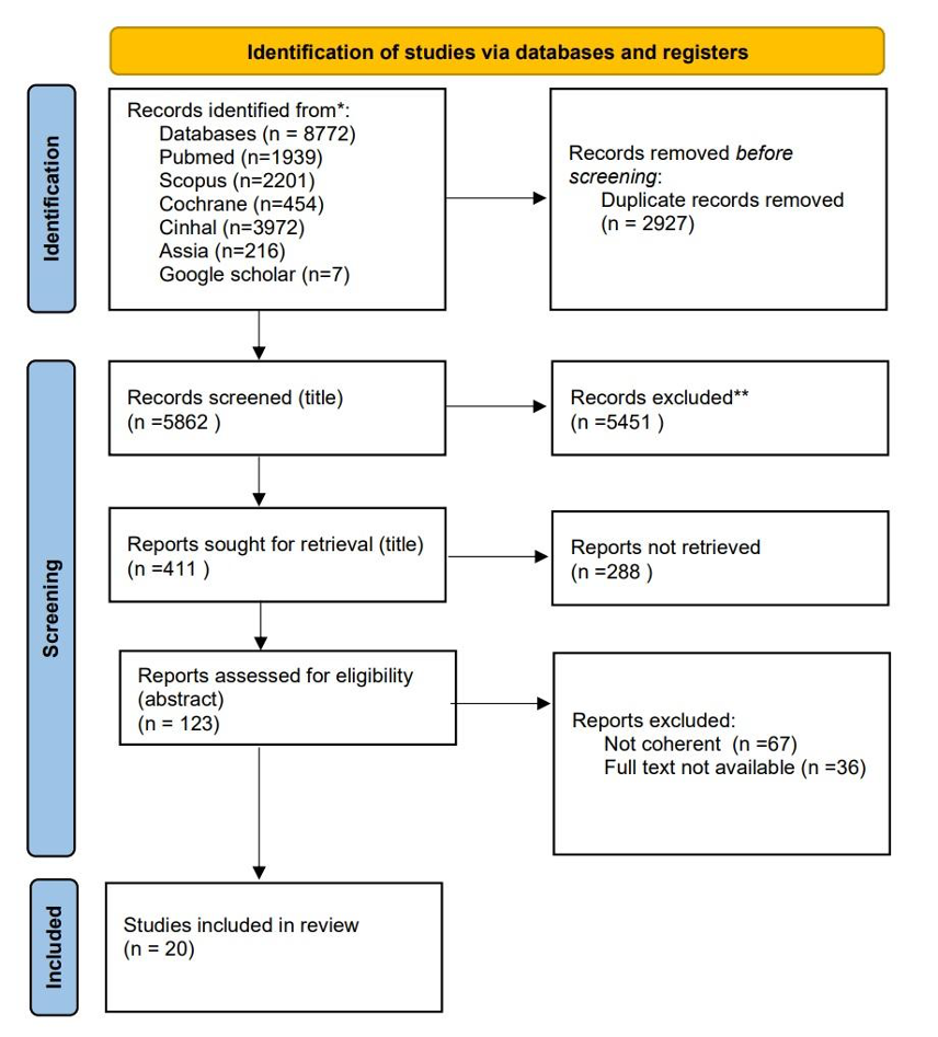 PRISMA ScR Flowchart